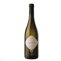 Бяло вино - Pinot Grigio - Trentino - Lavis - 0.75л.