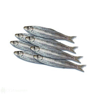 Цаца - замразен - Морски дар - 500гр.