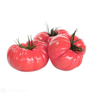 Розови домати Български Кресна - кг.