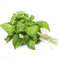 Босилек пресен 1бр.