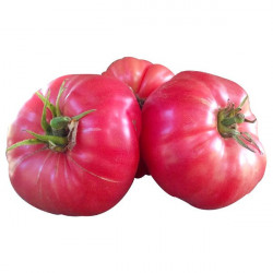 Розови домати български кг.